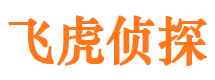 龙马潭寻人公司